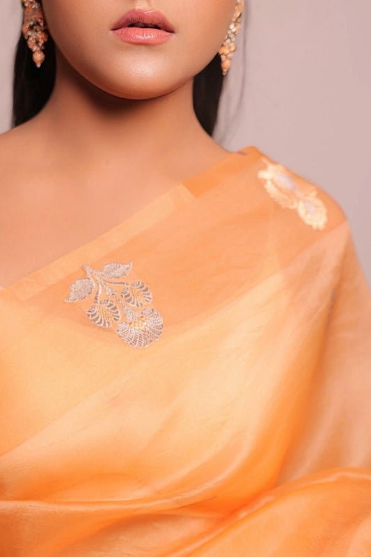Daisy Heart - Banarasi Pure Kora Silk Buta Peach Handloom Saree